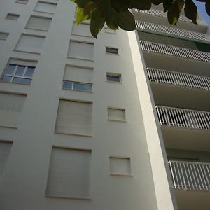 B&B Cavaliere